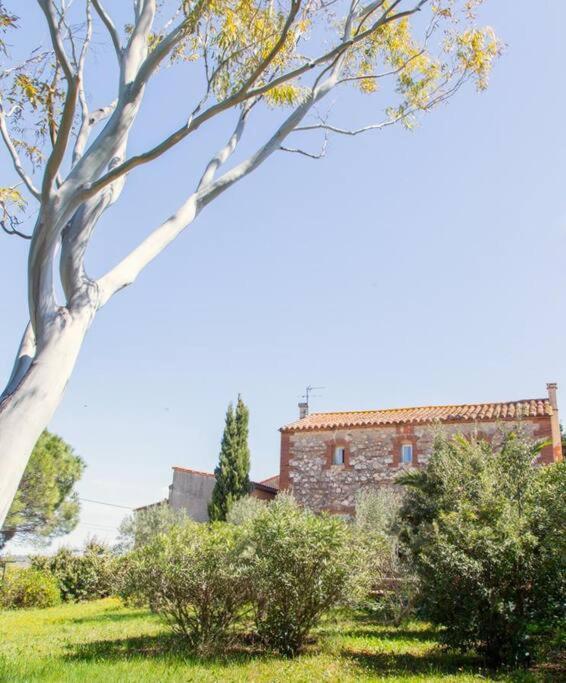 La Maison Des Vendangeurs Canet-en-Roussillon Exterior foto