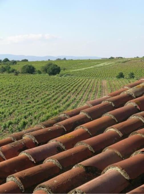 La Maison Des Vendangeurs Canet-en-Roussillon Exterior foto